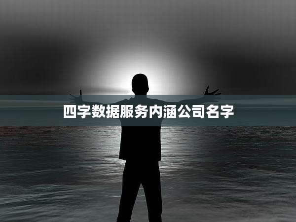 四字数据服务内涵公司名字