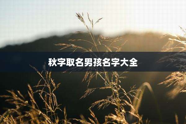 秋字取名男孩名字大全