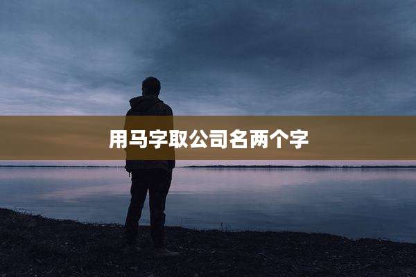 用马字取公司名两个字