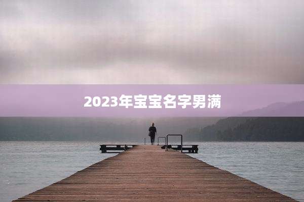 2023年宝宝名字男满