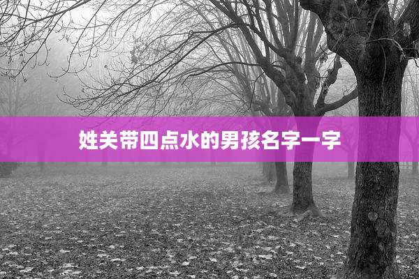 姓关带四点水的男孩名字一字