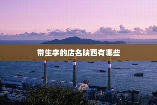 带生字的店名陕西有哪些
