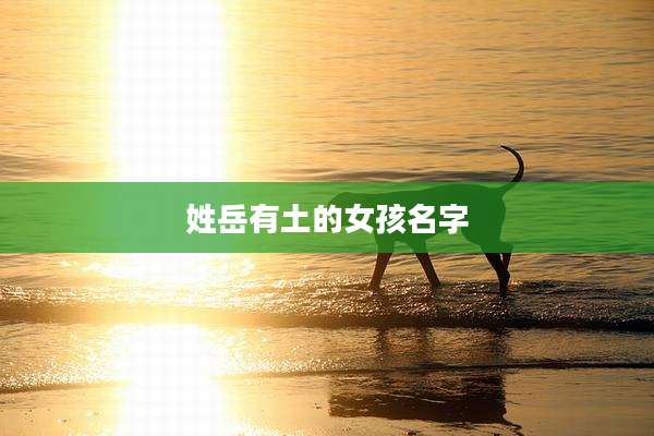 姓岳有土的女孩名字