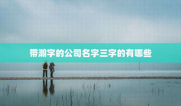 带瀚字的公司名字三字的有哪些