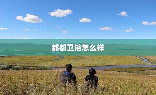都都卫浴怎么样