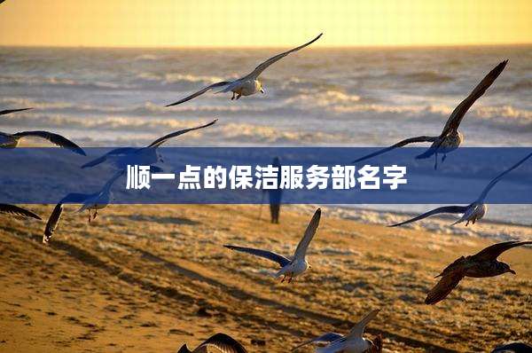 顺一点的保洁服务部名字