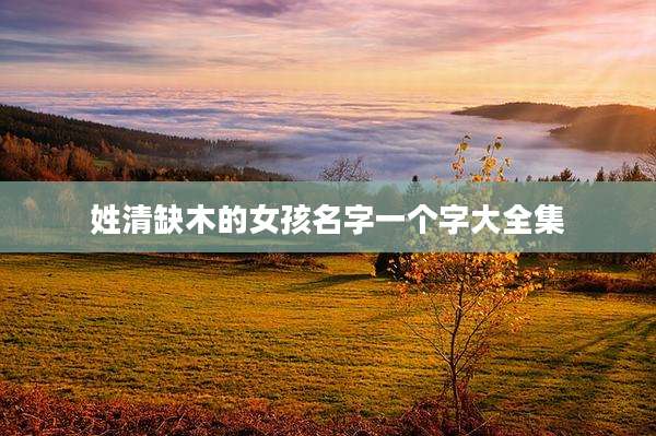 姓清缺木的女孩名字一个字大全集