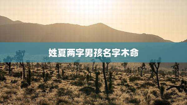 姓夏两字男孩名字木命