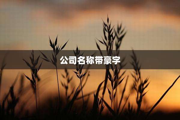 公司名称带豪字