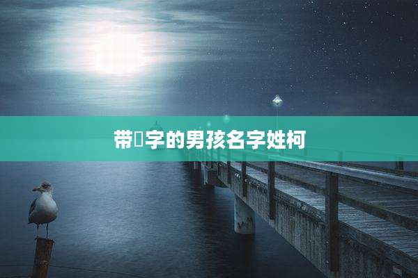 带昇字的男孩名字姓柯