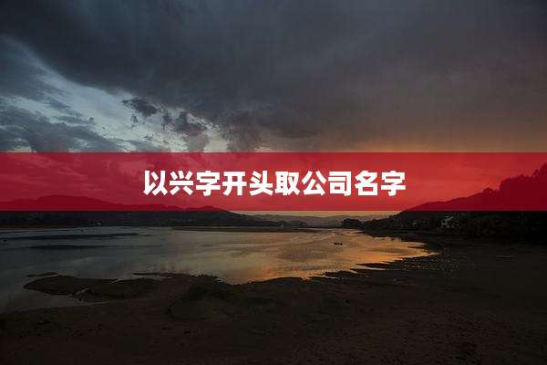 以兴字开头取公司名字