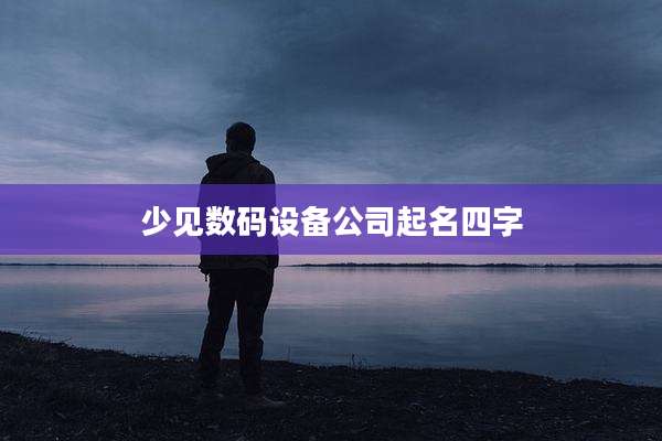 少见数码设备公司起名四字