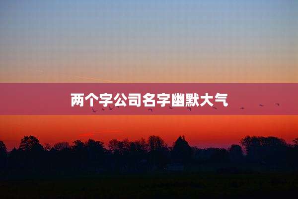 两个字公司名字幽默大气