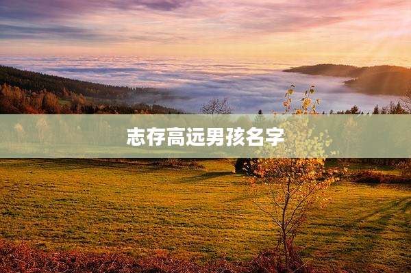 志存高远男孩名字