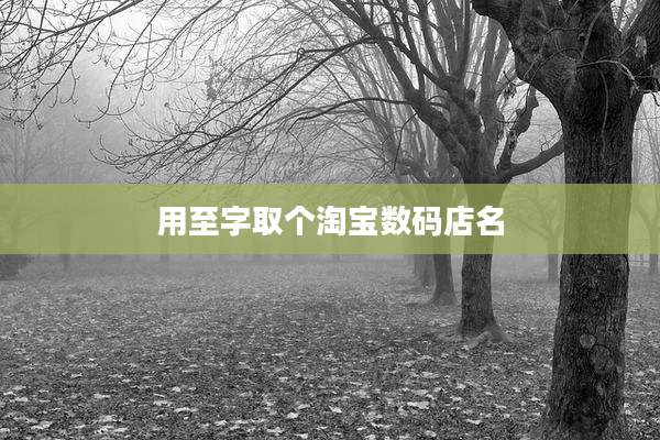 用至字取个淘宝数码店名