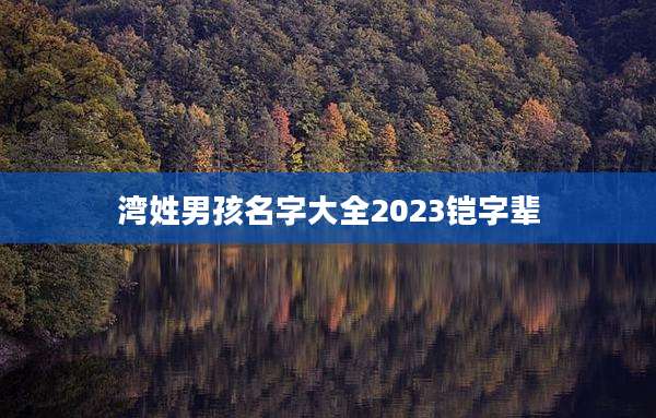 湾姓男孩名字大全2023铠字辈