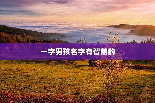 一字男孩名字有智慧的