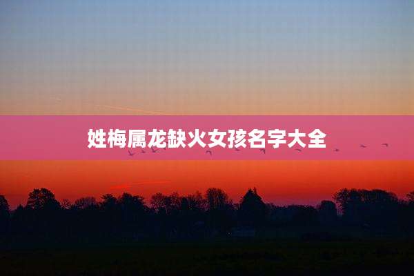 姓梅属龙缺火女孩名字大全