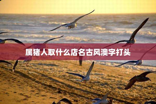 属猪人取什么店名古风澳字打头