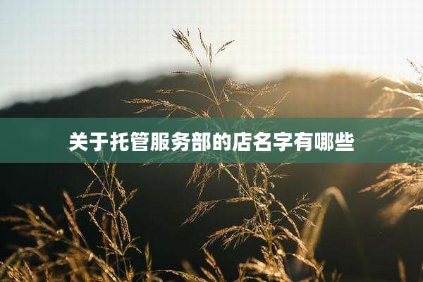 关于托管服务部的店名字有哪些