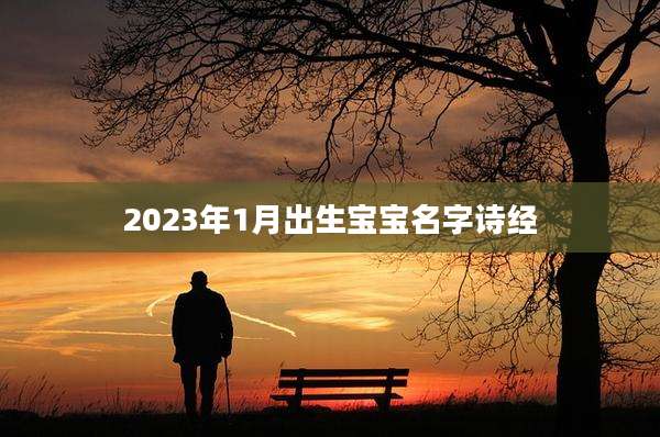 2023年1月出生宝宝名字诗经
