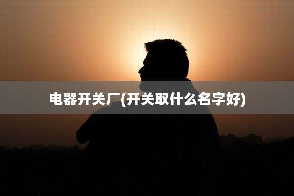电器开关厂(开关取什么名字好)