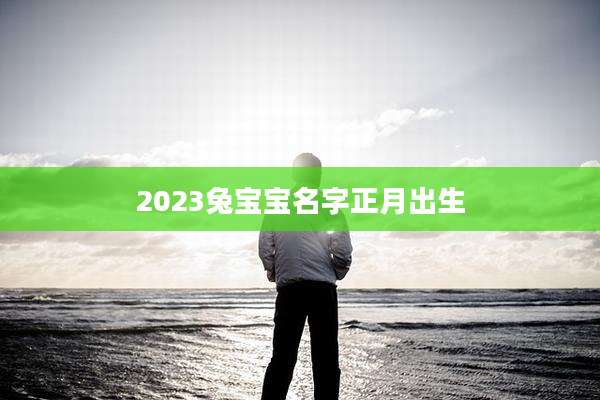 2023兔宝宝名字正月出生