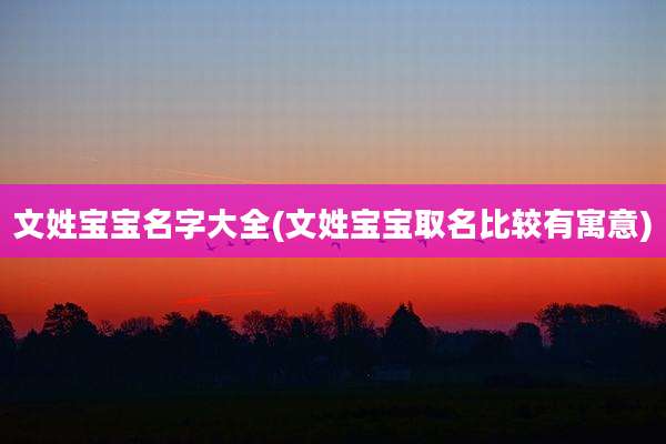 文姓宝宝名字大全(文姓宝宝取名比较有寓意)