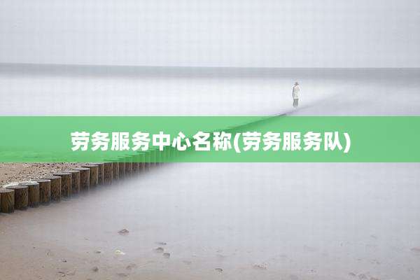 劳务服务中心名称(劳务服务队)