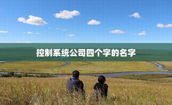 控制系统公司四个字的名字