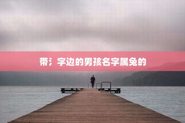 带氵字边的男孩名字属兔的