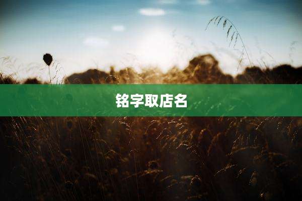 铭字取店名