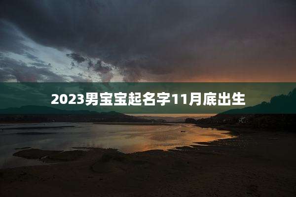 2023男宝宝起名字11月底出生