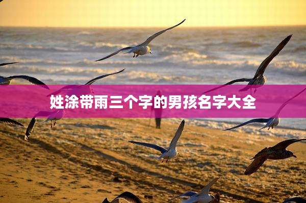 姓涂带雨三个字的男孩名字大全