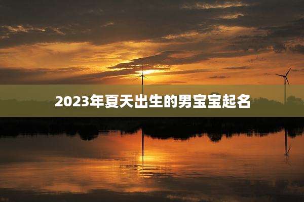 2023年夏天出生的男宝宝起名