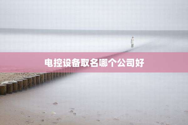 电控设备取名哪个公司好