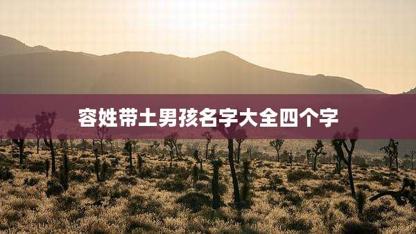 容姓带土男孩名字大全四个字