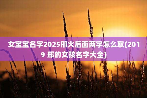 女宝宝名字2025邢火后面两字怎么取(2019 邢的女孩名字大全)