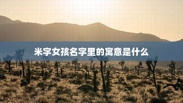 米字女孩名字里的寓意是什么