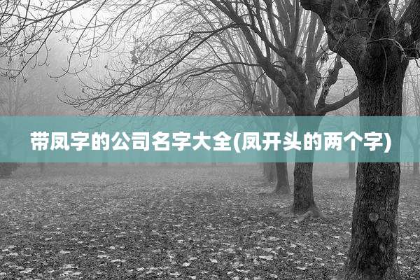 带凤字的公司名字大全(凤开头的两个字)