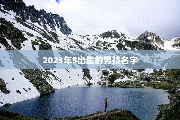 2023年5出生的男孩名字