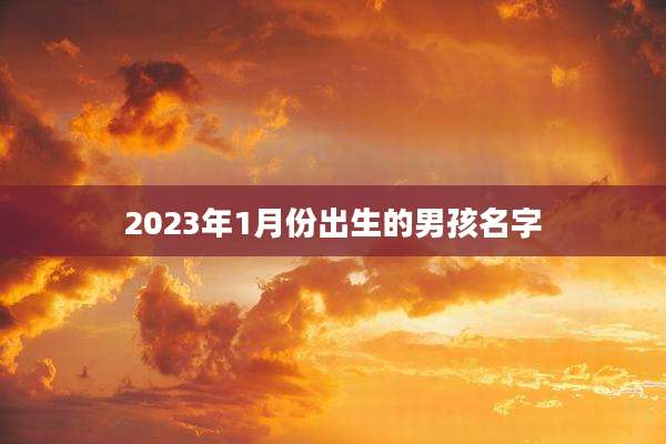 2023年1月份出生的男孩名字