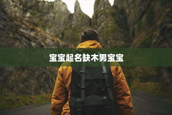 宝宝起名缺木男宝宝