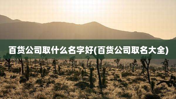 百货公司取什么名字好(百货公司取名大全)