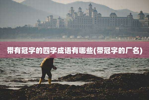 带有冠字的四字成语有哪些(带冠字的厂名)