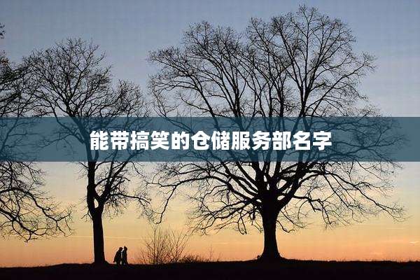 能带搞笑的仓储服务部名字