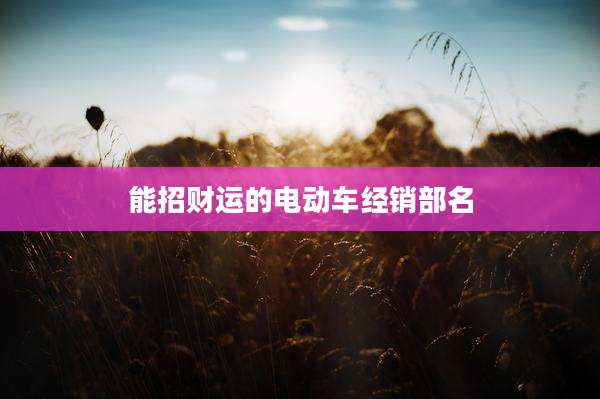 能招财运的电动车经销部名