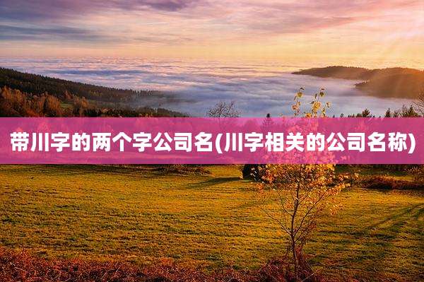 带川字的两个字公司名(川字相关的公司名称)