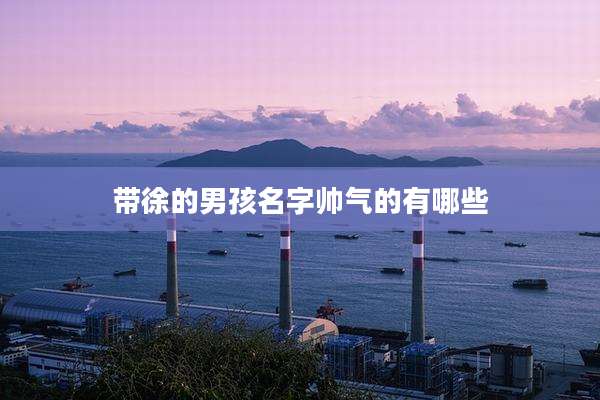 带徐的男孩名字帅气的有哪些