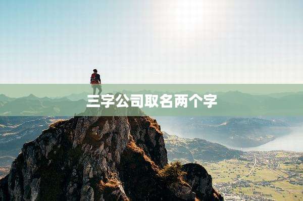 三字公司取名两个字